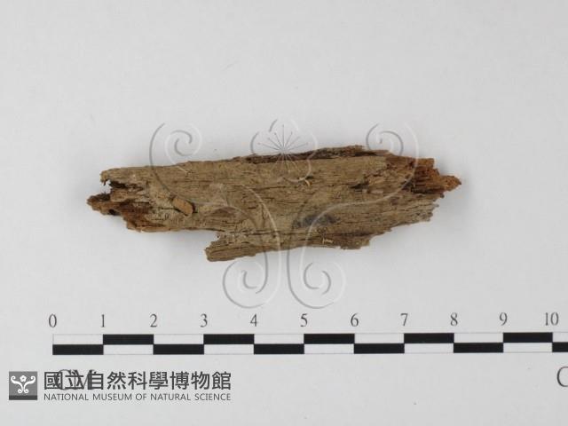 登錄號:F0014222藏品圖，第1張