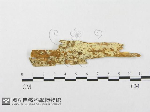 登錄號:F0003222藏品圖，第1張
