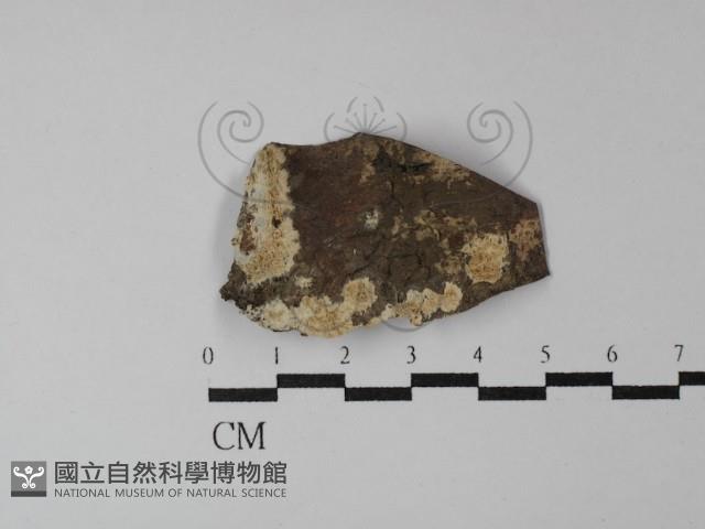 登錄號:F0029822藏品圖，第1張