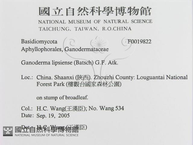 登錄號:F0019822藏品圖，第3張