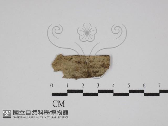 登錄號:F0029922藏品圖，第1張