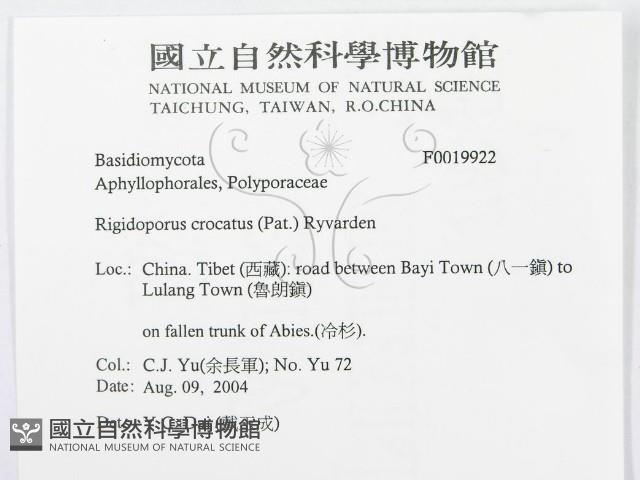 登錄號:F0019922藏品圖，第3張