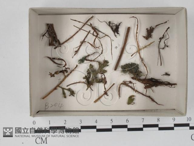 登錄號:F0018622藏品圖，第1張