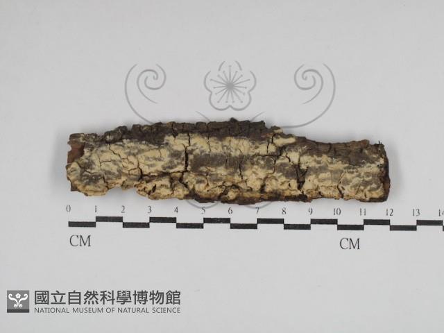登錄號:F0030622藏品圖，第1張