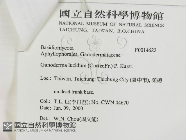 重傘靈芝藏品圖，第3張