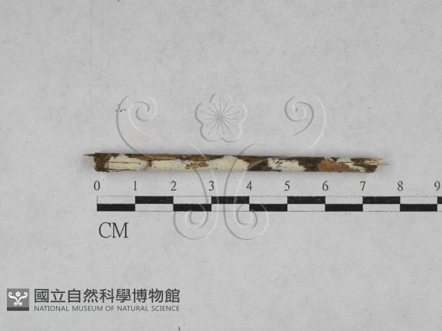 館號:F0028422藏品圖，第1張