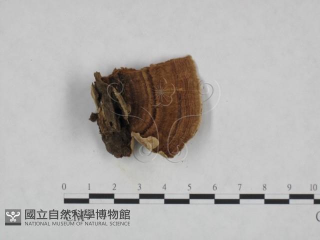 登錄號:F0010422藏品圖，第1張
