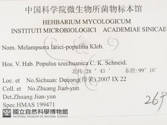 登錄號:F0026422藏品圖，第3張