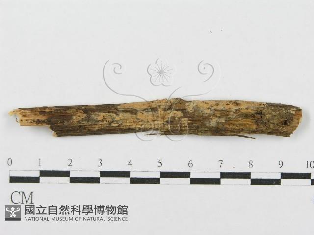 登錄號:F0018722藏品圖，第1張
