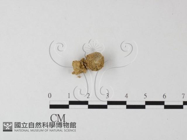 登錄號:F0001722藏品圖，第1張