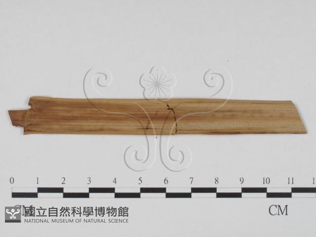 登錄號:F0011722藏品圖，第1張