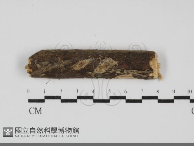 登錄號:F0031722藏品圖，第1張