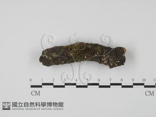 登錄號:F0015722藏品圖，第1張