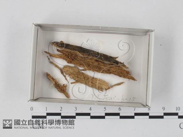 登錄號:F0018522藏品圖，第1張