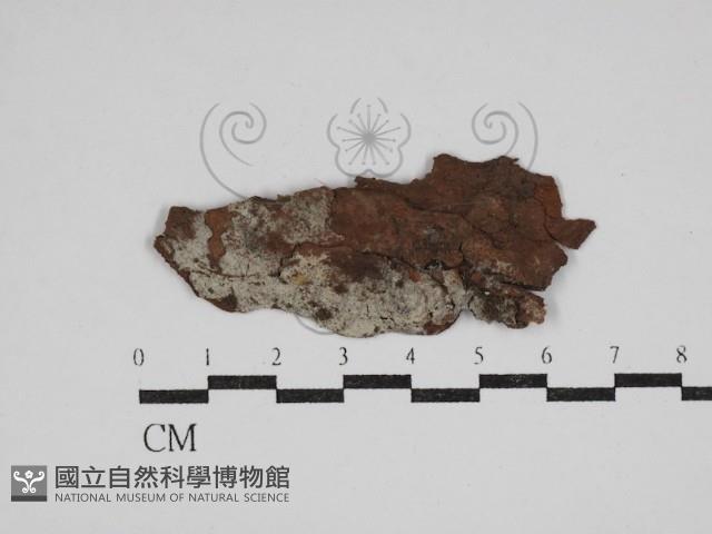 登錄號:F0030522藏品圖，第1張