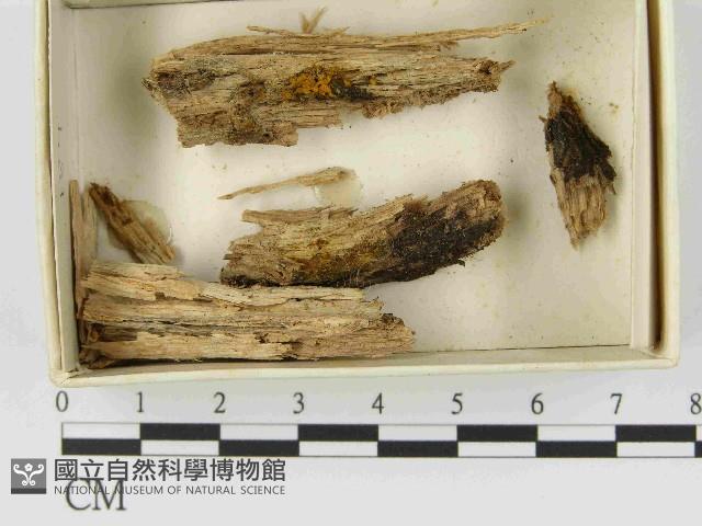 登錄號:F0021522藏品圖，第1張