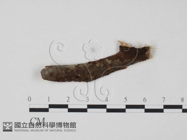 登錄號:F0011522藏品圖，第1張