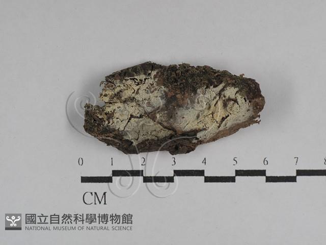 登錄號:F0029522藏品圖，第1張