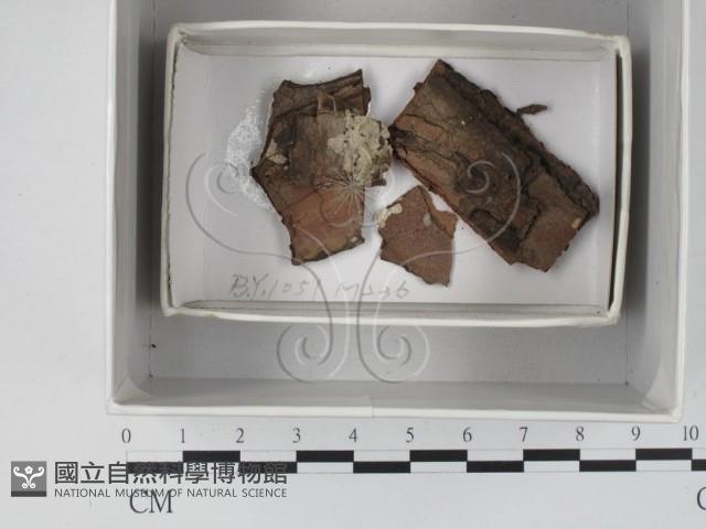 登錄號:F0018122藏品圖，第1張