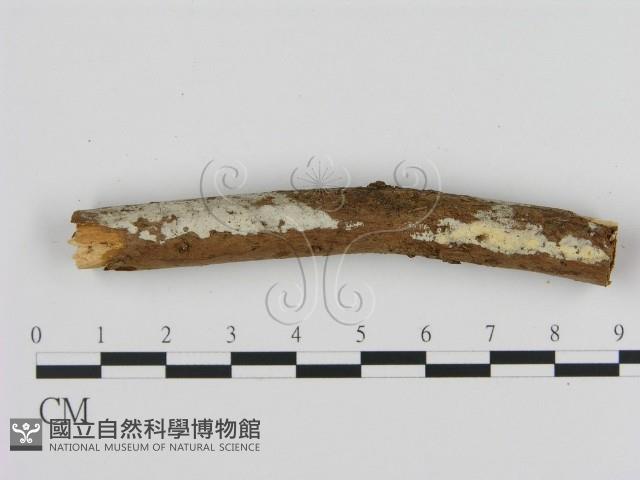 登錄號:F0000122藏品圖，第1張