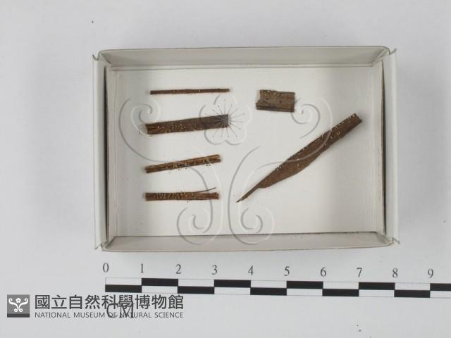 登錄號:F0021122藏品圖，第1張