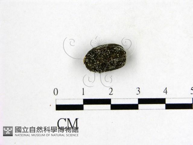 登錄號:F0001122藏品圖，第1張