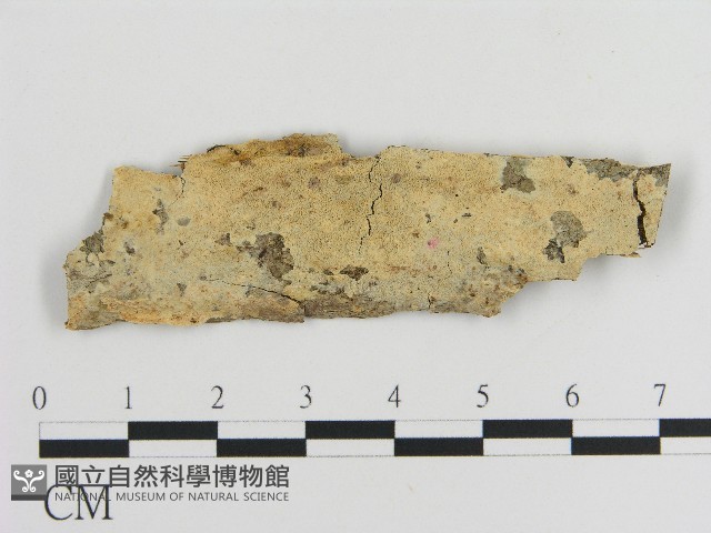 登錄號:F0004122藏品圖，第1張