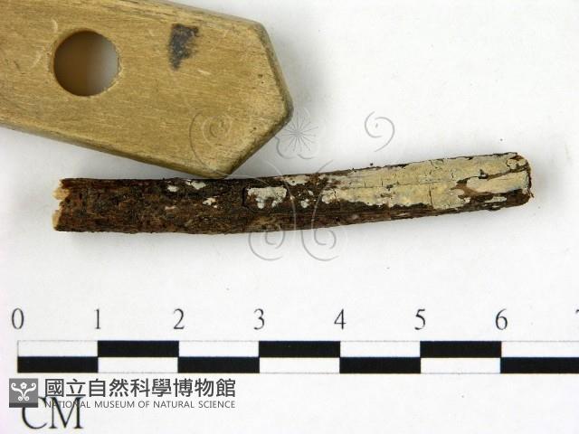 登錄號:F0022122藏品圖，第1張