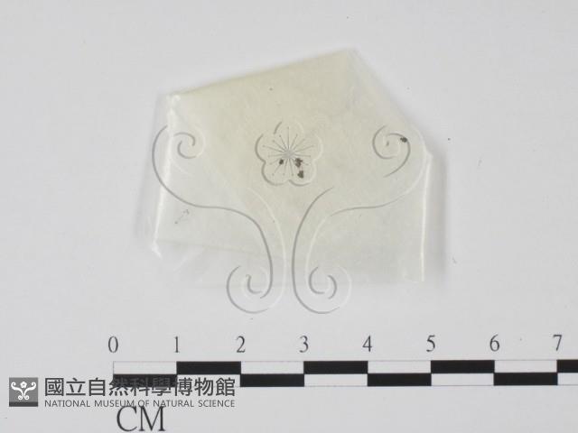 登錄號:F0002122藏品圖，第1張