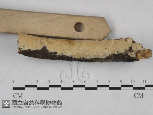 登錄號:F0025122藏品圖，第1張