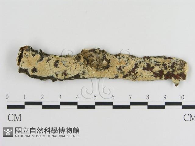 登錄號:F0009122藏品圖，第1張