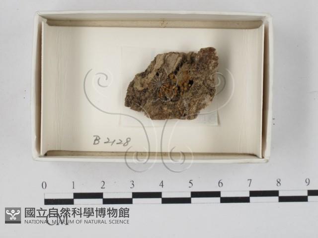 登錄號:F0018022藏品圖，第1張