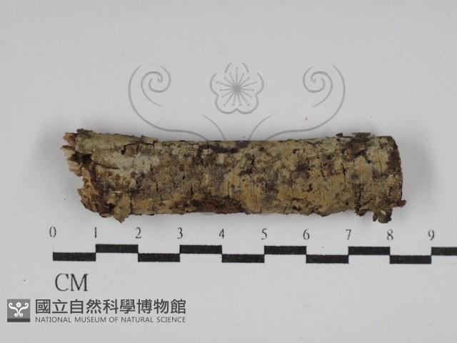 登錄號:F0030022藏品圖，第1張