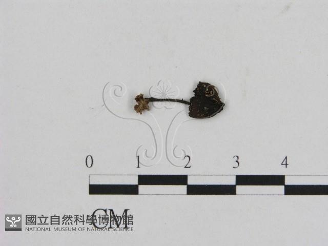 登錄號:F0016022藏品圖，第1張