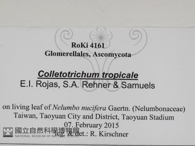 登錄號:F0031022藏品圖，第3張