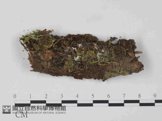 登錄號:F0024022藏品圖，第1張