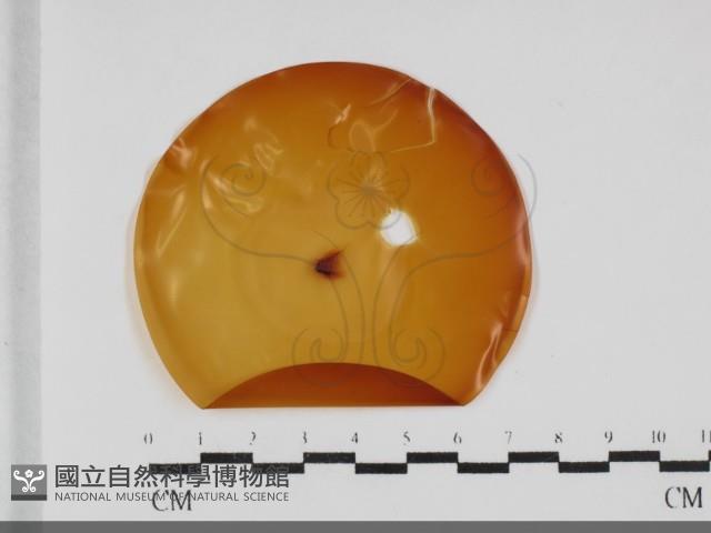 登錄號:F0032022藏品圖，第1張