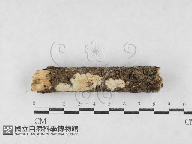 登錄號:F0027022藏品圖，第1張