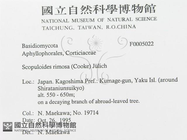 登錄號:F0005022藏品圖，第3張