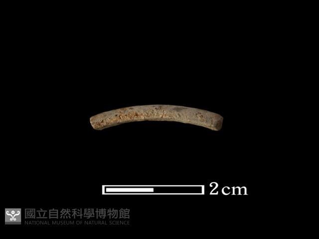 陶環藏品圖，第1張