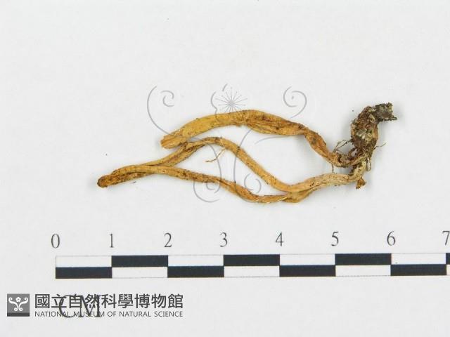 登錄號:F0012322藏品圖，第1張