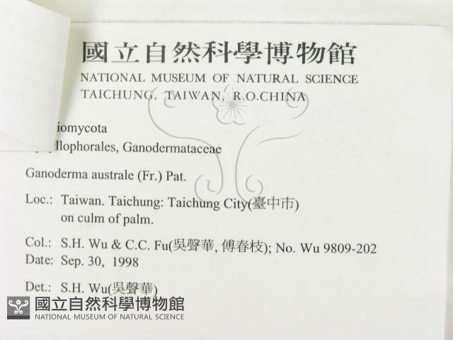 登錄號:F0009322藏品圖，第3張