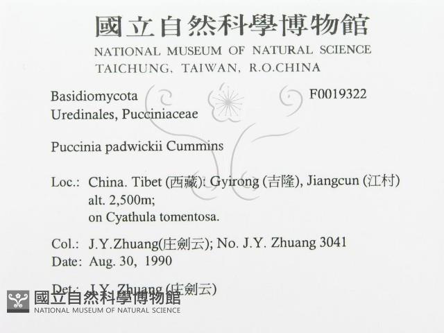 登錄號:F0019322藏品圖，第3張