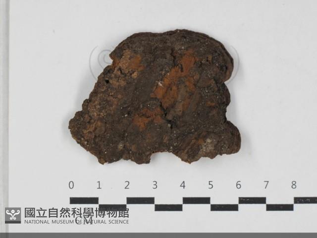 登錄號:F0033322藏品圖，第1張