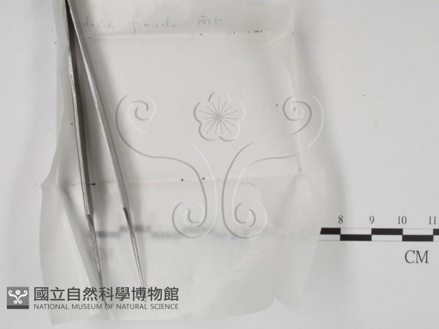 登錄號:F0000202藏品圖，第1張