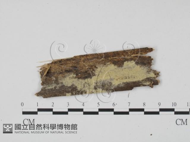 登錄號:F0010202藏品圖，第1張