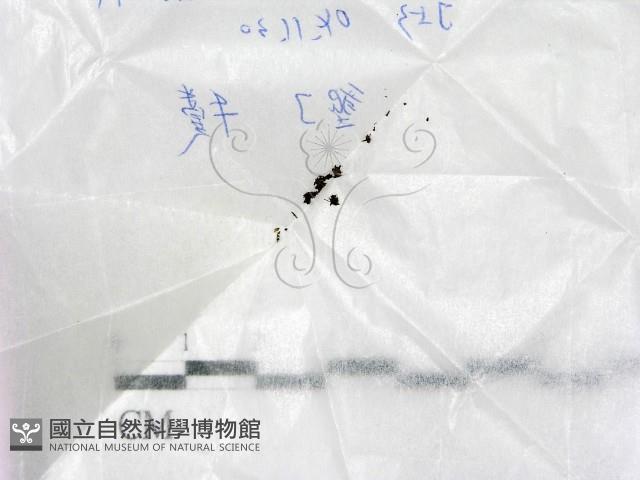 登錄號:F0017202藏品圖，第1張