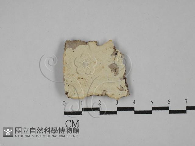 登錄號:F0029202藏品圖，第1張