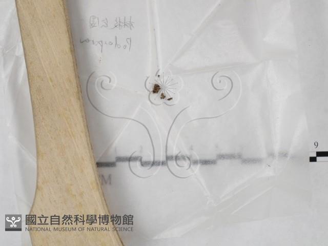 登錄號:F0023202藏品圖，第1張