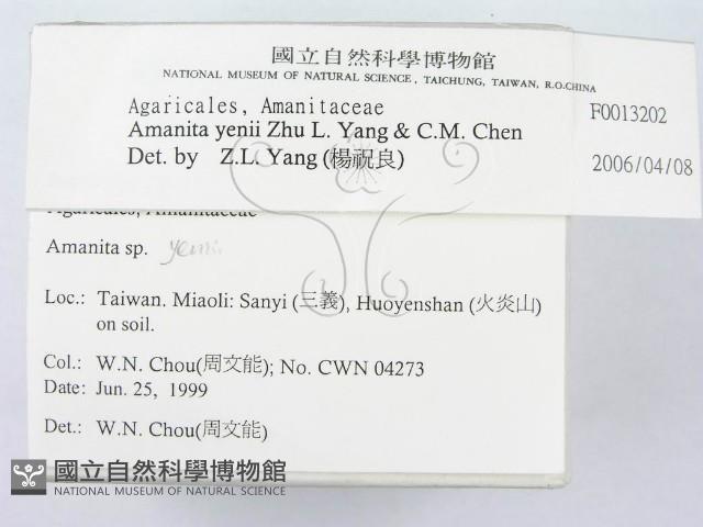 登錄號:F0013202藏品圖，第3張